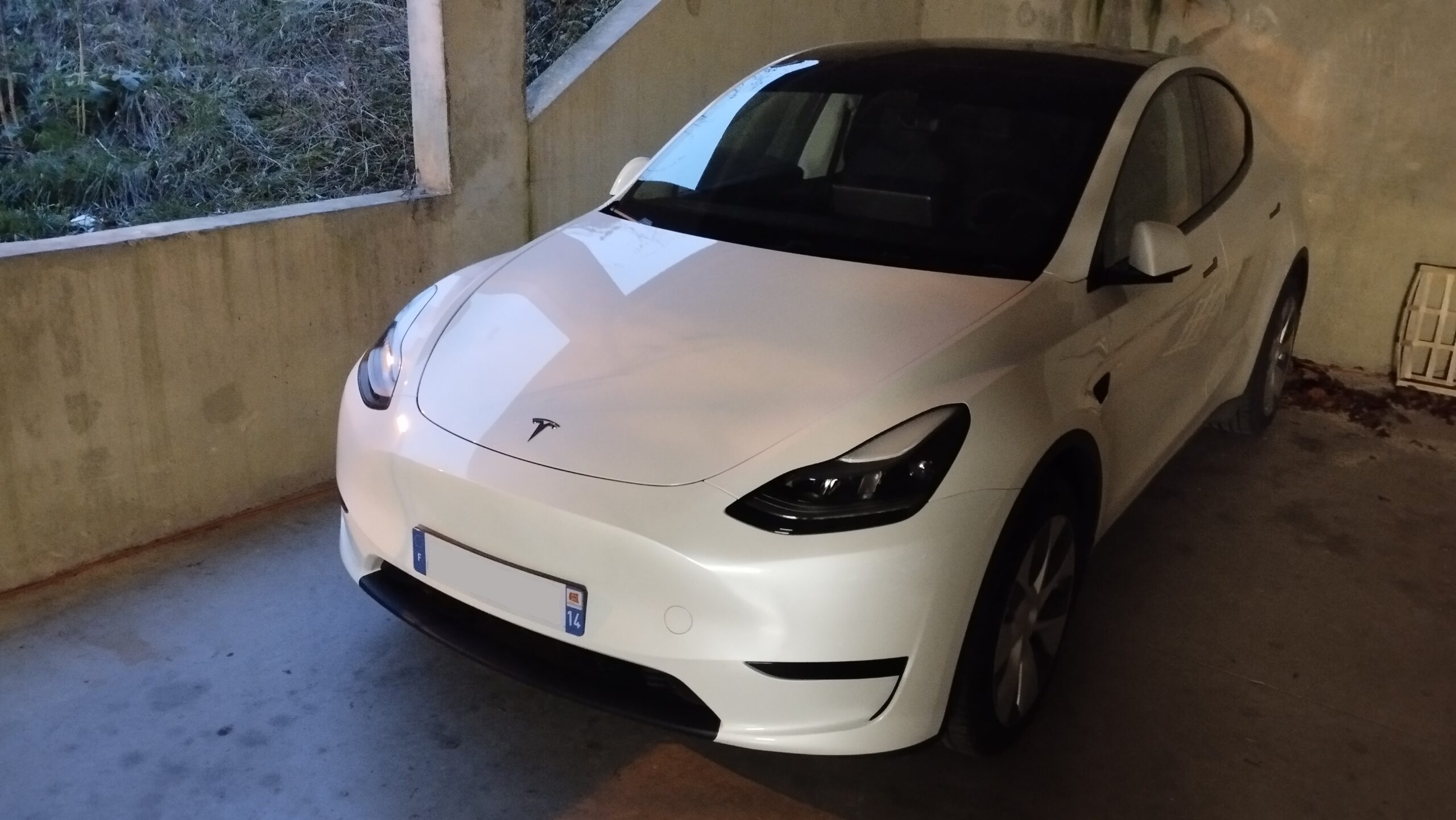 IMG_20250124_081556a