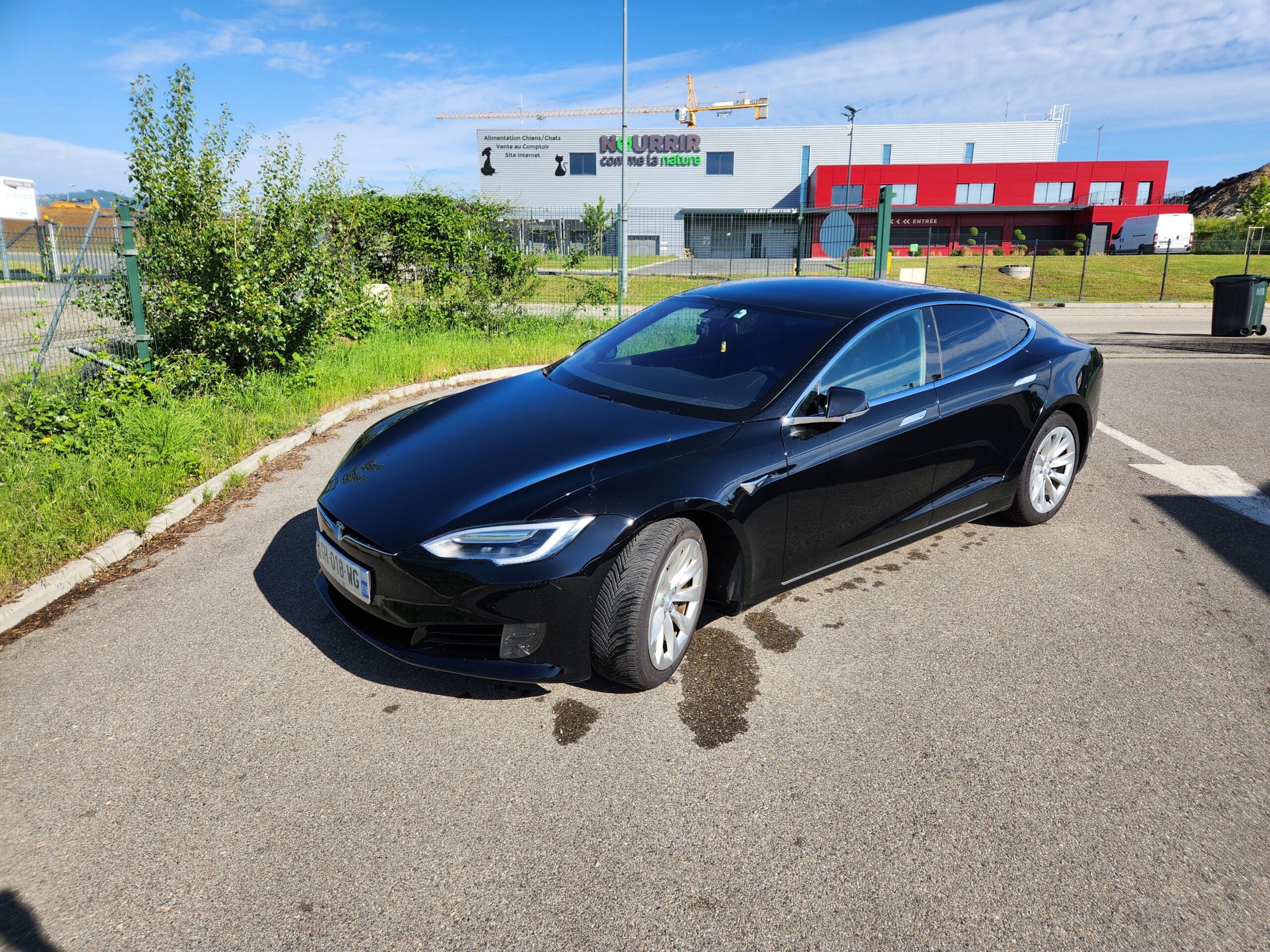 TESLA 4