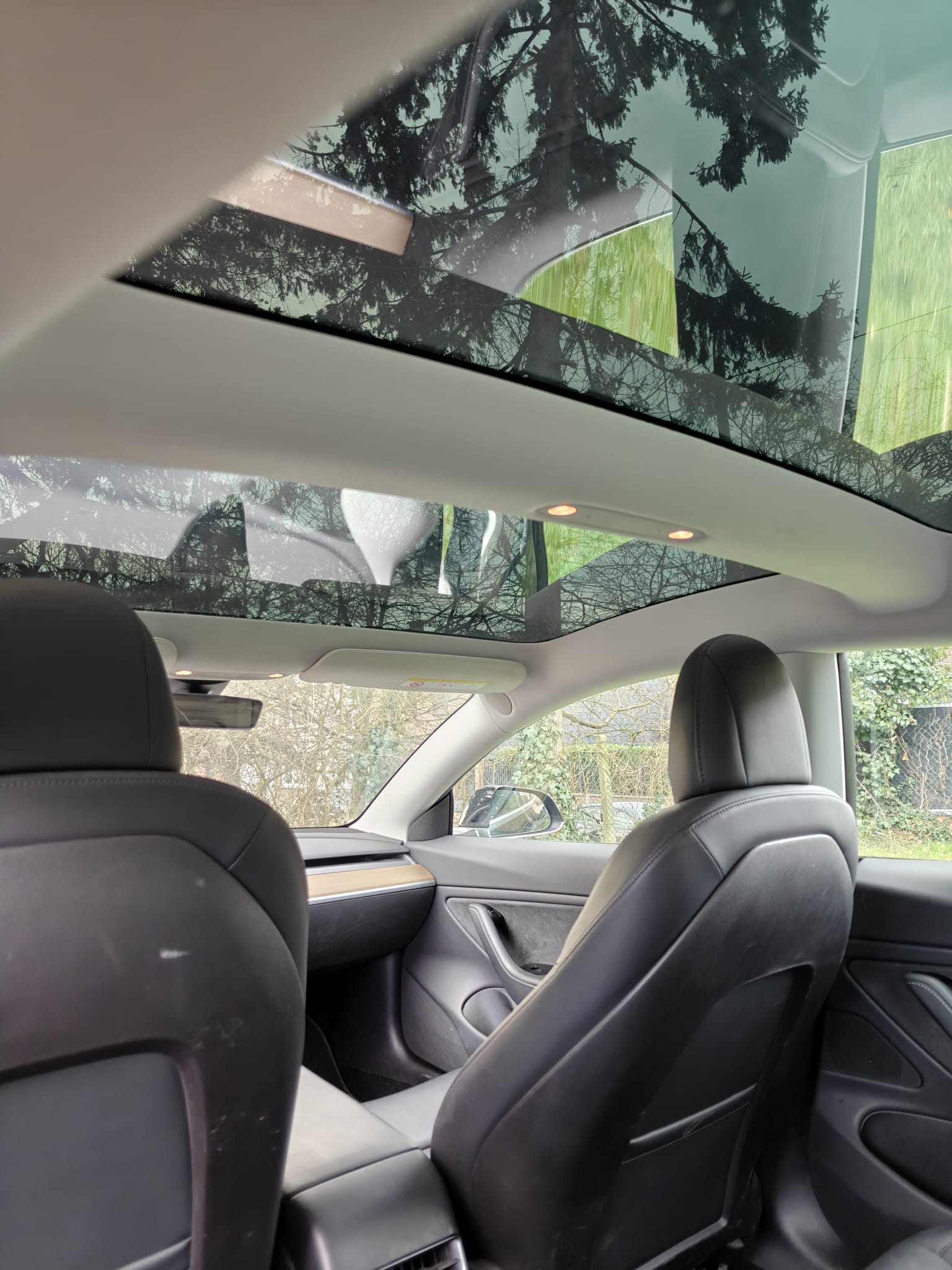 WhatsApp Image 2026-03-16 at 23.06.29